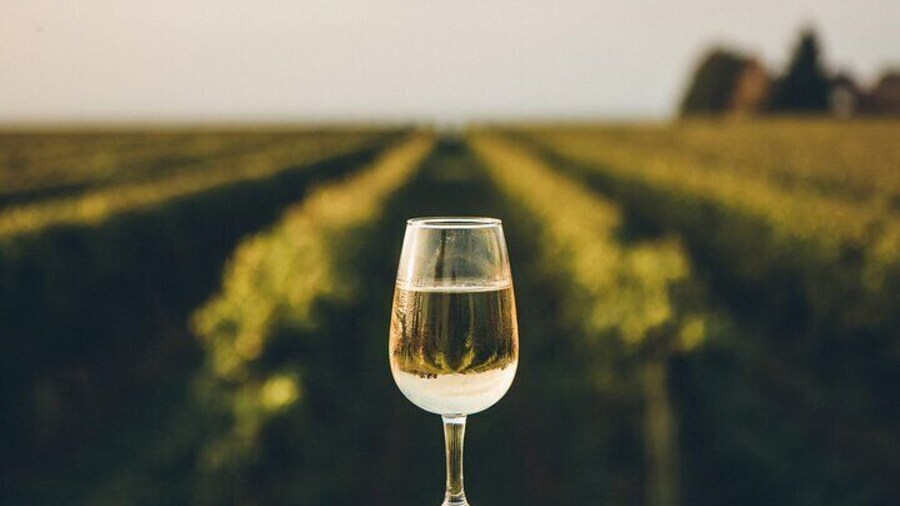 Private Yamanashi Koshu Winery Tour with Licensed Guide