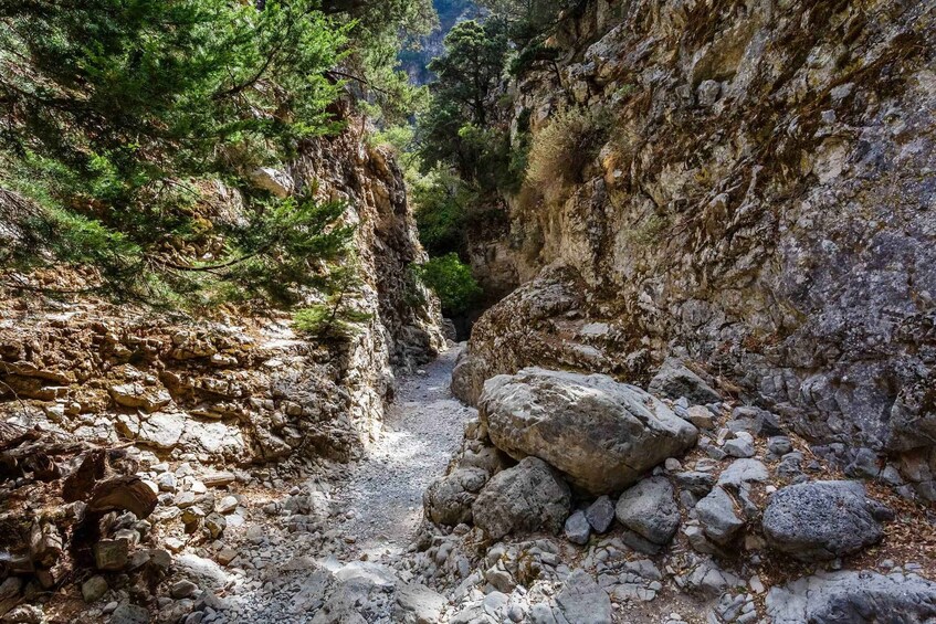 Picture 1 for Activity From Georgioupoli: Easy Hiking Day-Trip to Imbros Gorge