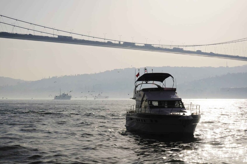 Picture 9 for Activity Istanbul 2-Hour Private Bosphorus Yacht Tour