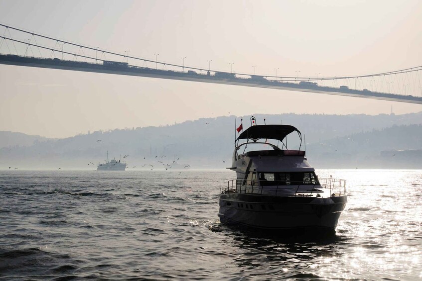 Picture 9 for Activity Istanbul 2-Hour Private Bosphorus Yacht Tour