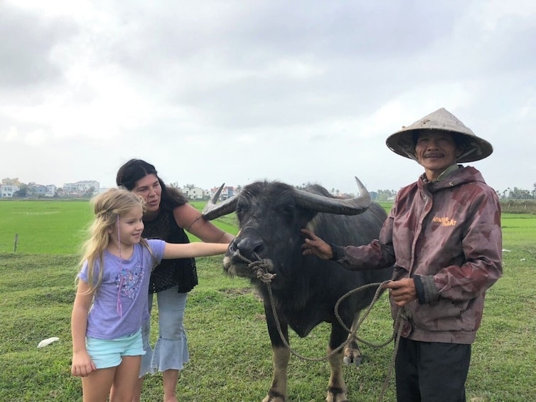 Ninh Binh Sunrise Local Experience Buffalo Riding Rice Farming Cave