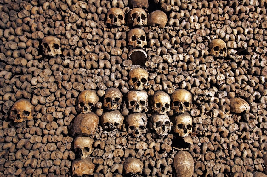 Paris Catacombs Skip the line audio-guided tour and cruise ticket