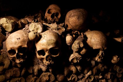 Catacombes de Paris Sautez la ligne de visite audioguidée et billet de croi...