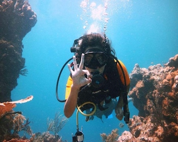 Playa: PADI Advanced