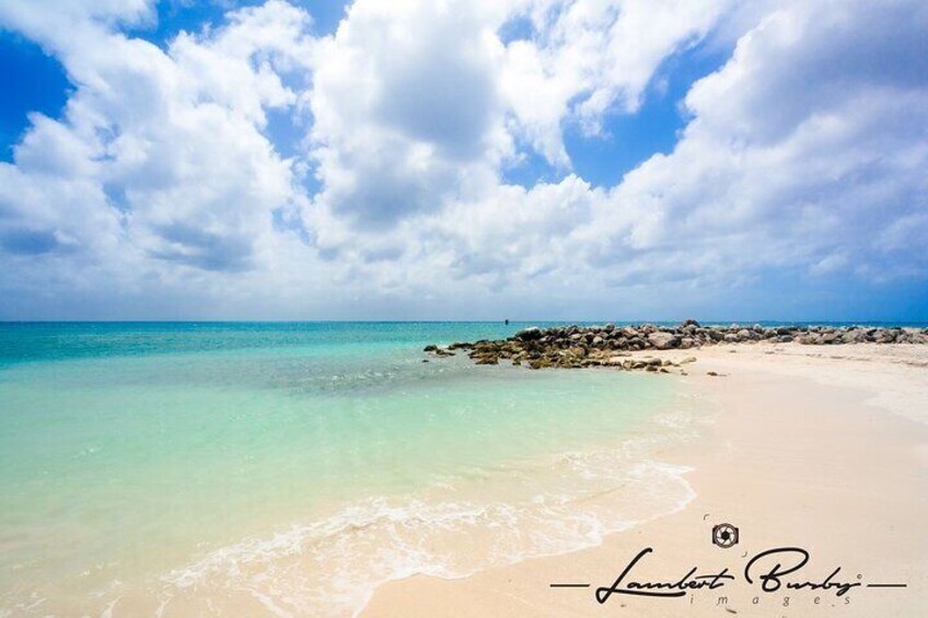 Half Day Private Tour in Aruba with Guide