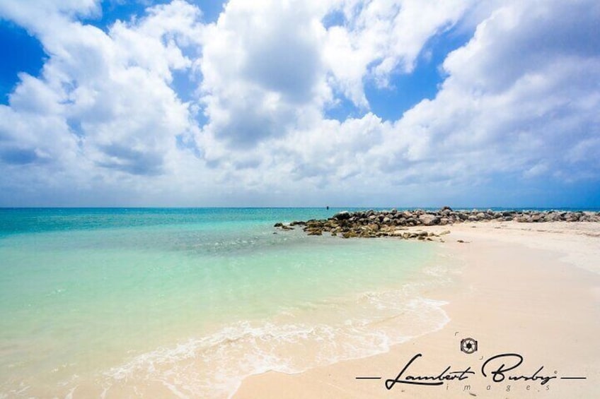 Half Day Private Tour in Aruba with Guide