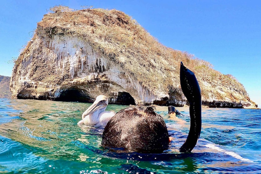 Picture 5 for Activity Paddleboard & snorkel tour in Los Arcos