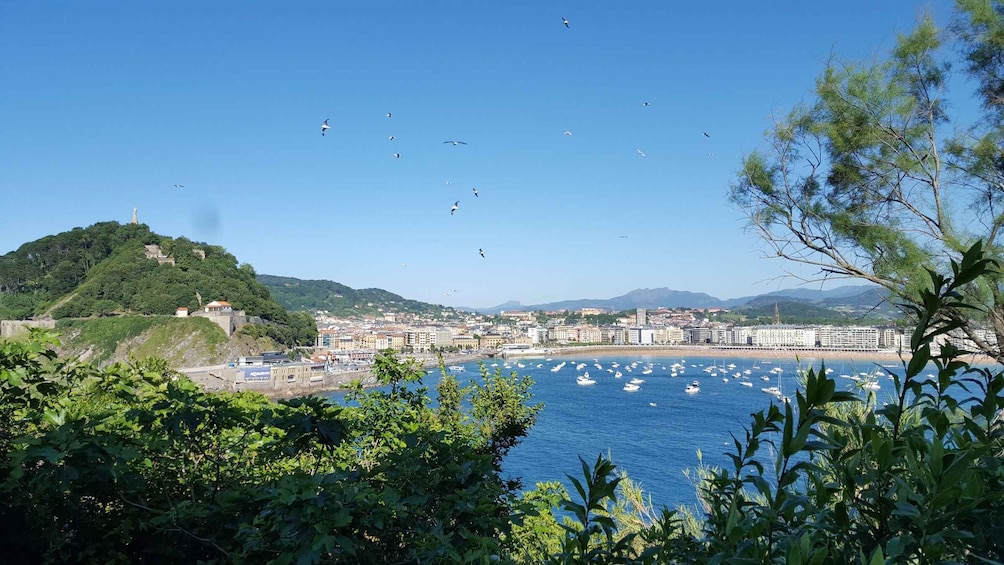 Picture 9 for Activity San Sebastian: Boat Tour with Stop at Santa Clara