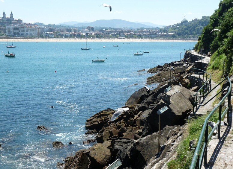 Picture 7 for Activity San Sebastian: Boat Tour with Stop at Santa Clara