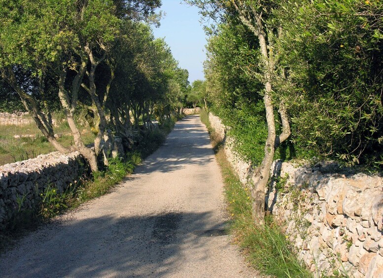 Picture 1 for Activity Menorca: E-Bike Tour From Punta Prima to Es Castell