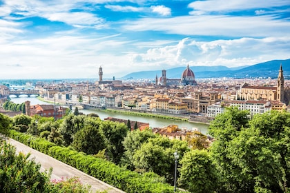 Discover Tuscany: Florence & Chianti Day Trip