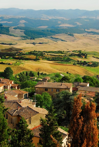 Discover Tuscany: Florence & Chianti Day Trip