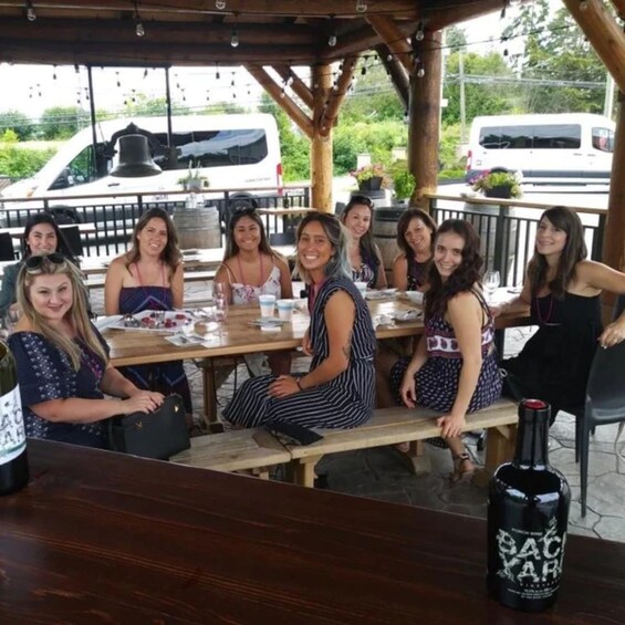 Picture 2 for Activity From Vancouver: Fraser Valley Wine Tour with Local Tastings