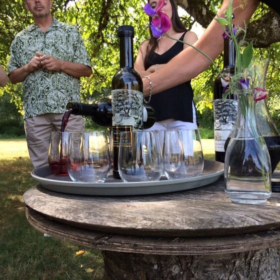 Picture 8 for Activity From Vancouver: Fraser Valley Wine Tour with Local Tastings