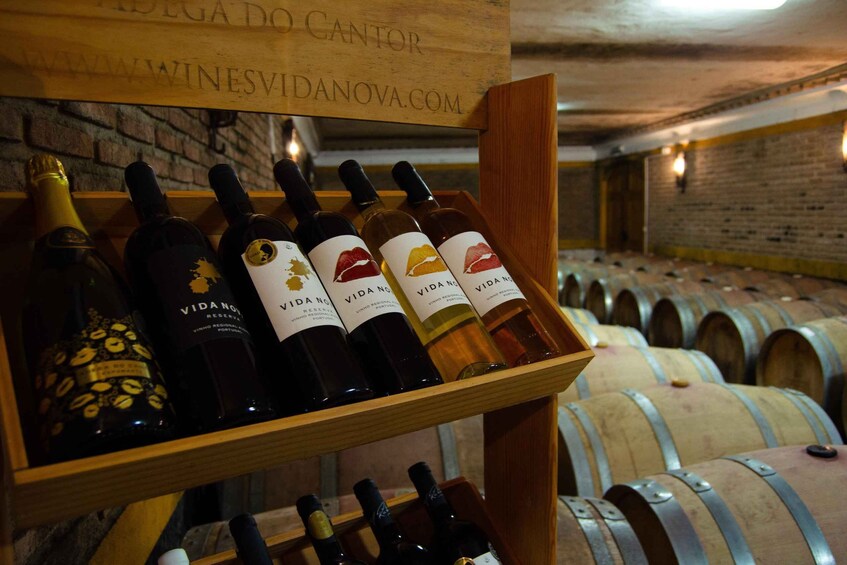 Picture 2 for Activity Albufeira: City Highlights & WINE TASTING