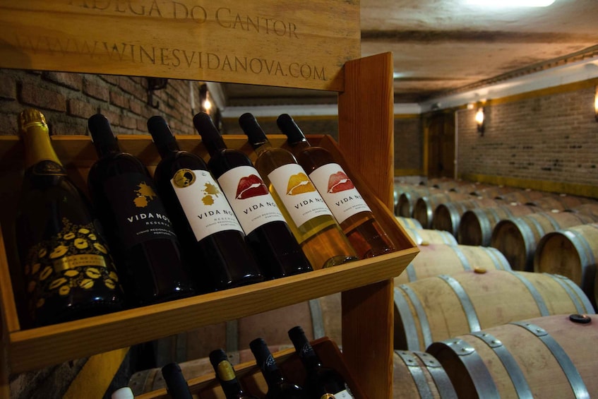 Picture 2 for Activity Albufeira: City Highlights & WINE TASTING