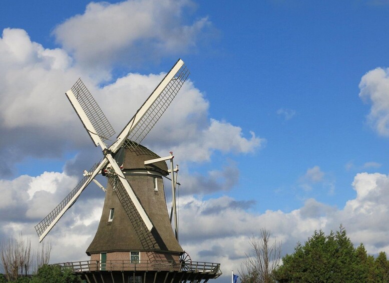 Picture 9 for Activity Amsterdam: Windmill Guided Tour