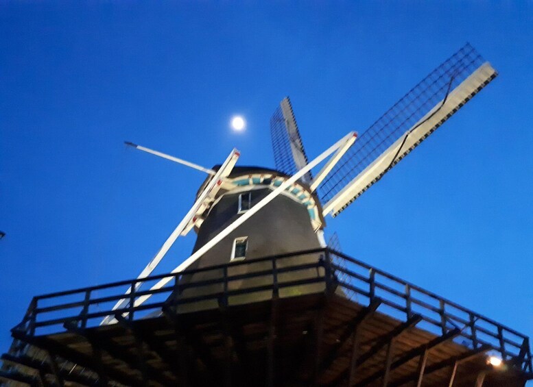 Picture 8 for Activity Amsterdam: Windmill Guided Tour