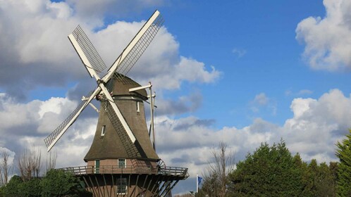 Ámsterdam: visita guiada a los molinos de viento