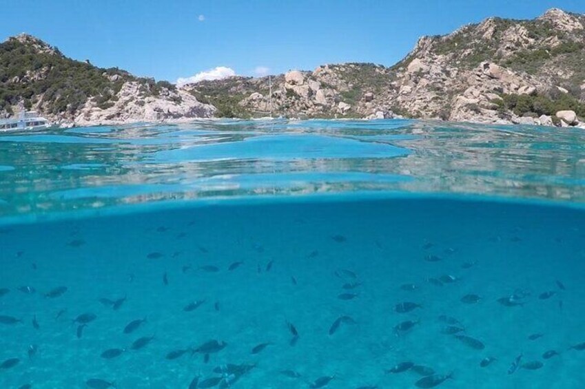 Catamaran tour FROM CANNIGIONE to the Maddalena Archipelago