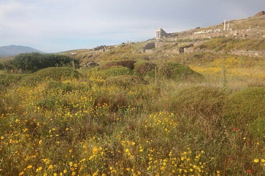 Delos Archaeological Site 