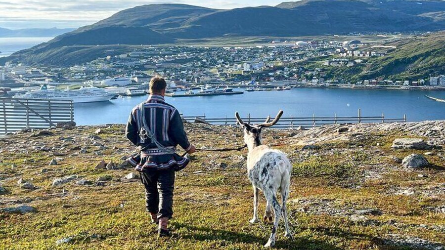 Private Hammerfest Sami Cultural Tour with Reindeer Interaction