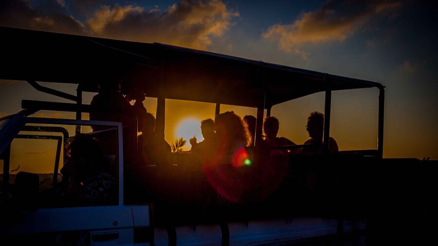 From St Lucia: iSimangaliso Wetland Park Night Drive Safari