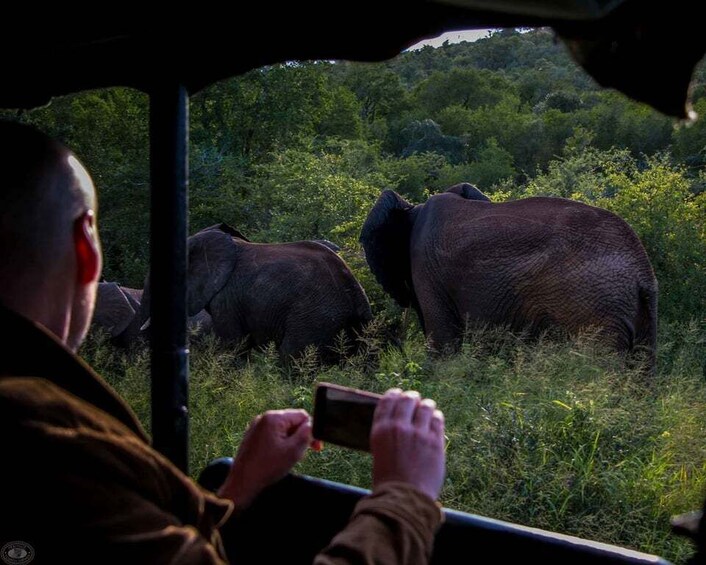 Picture 2 for Activity From St Lucia: iSimangaliso Wetland Park Night Drive Safari