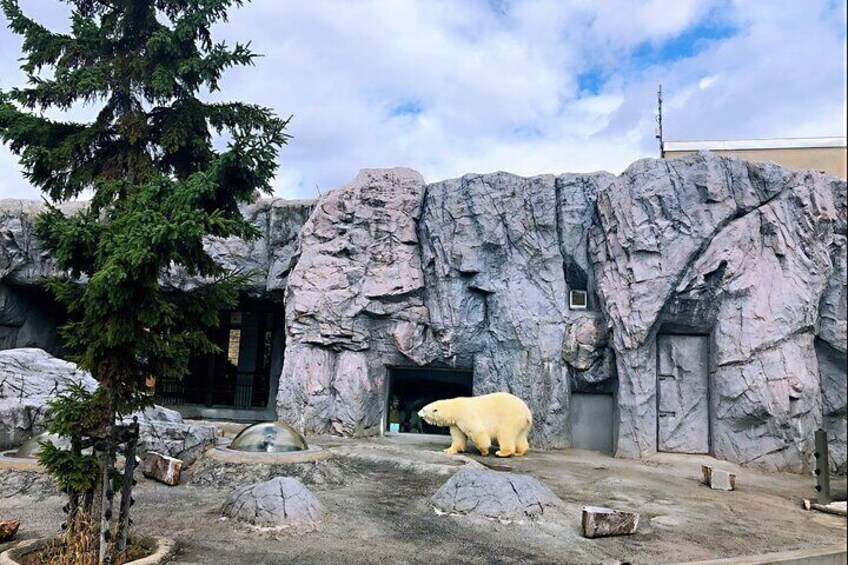 Hokkaido Asahiyama Zoo Biei Aoike Elf Terrace day Tour