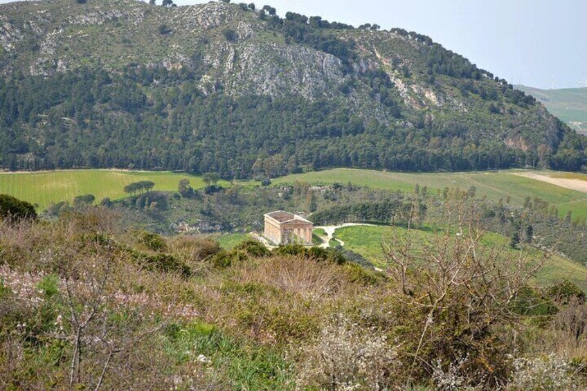 Segesta Skip the line entry ticket with Shuttle Service