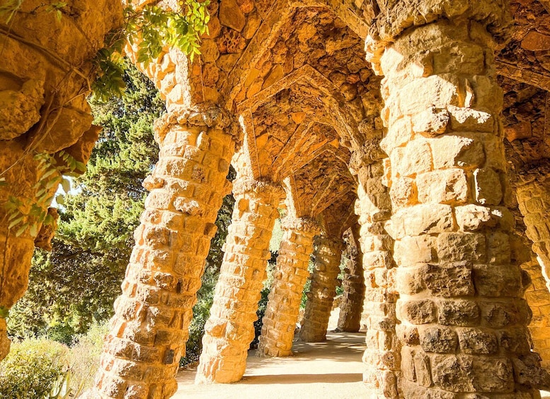 Picture 11 for Activity Barcelona: Park Güell & La Sagrada Familia Tickets and Tour