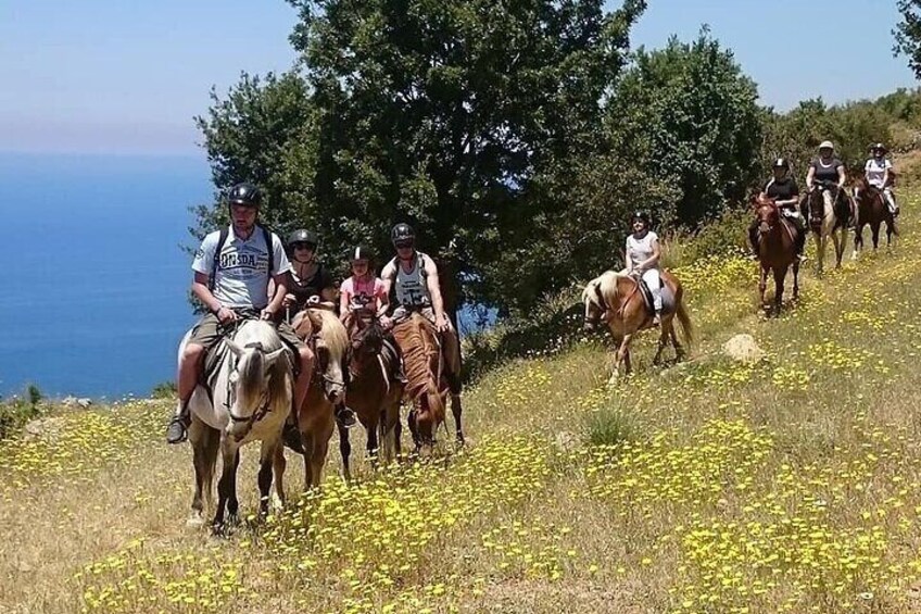 Fethiye Horse Riding Experience