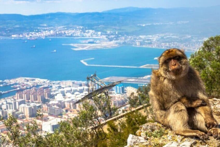 Gibraltar Private Tour