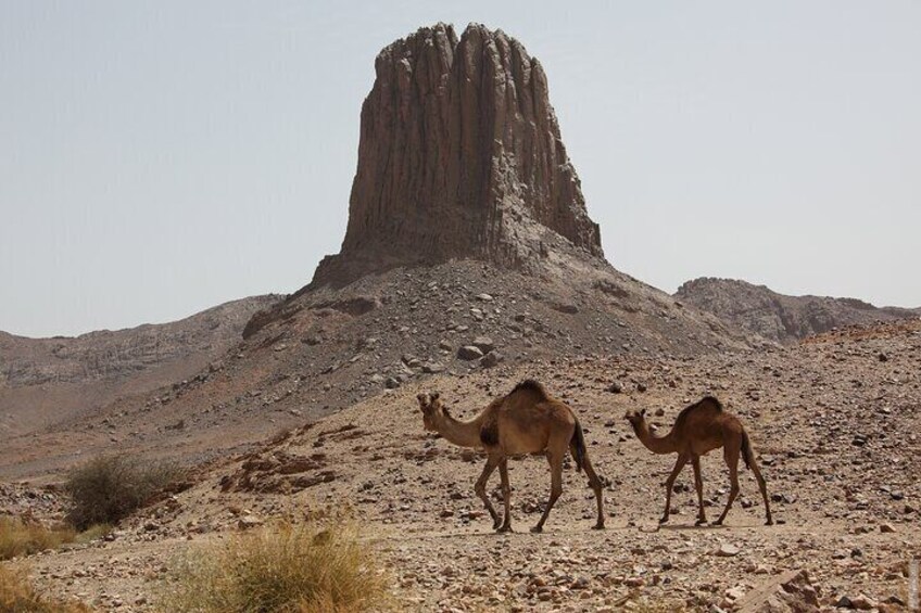 Private Assekrem and Hoggar Tour from Tamanrasset