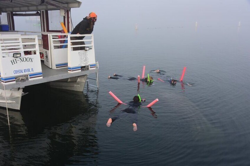 Manatee Snorkel Tour - Small Group