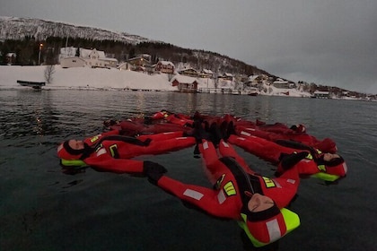 特羅姆索: 北極海港浮動