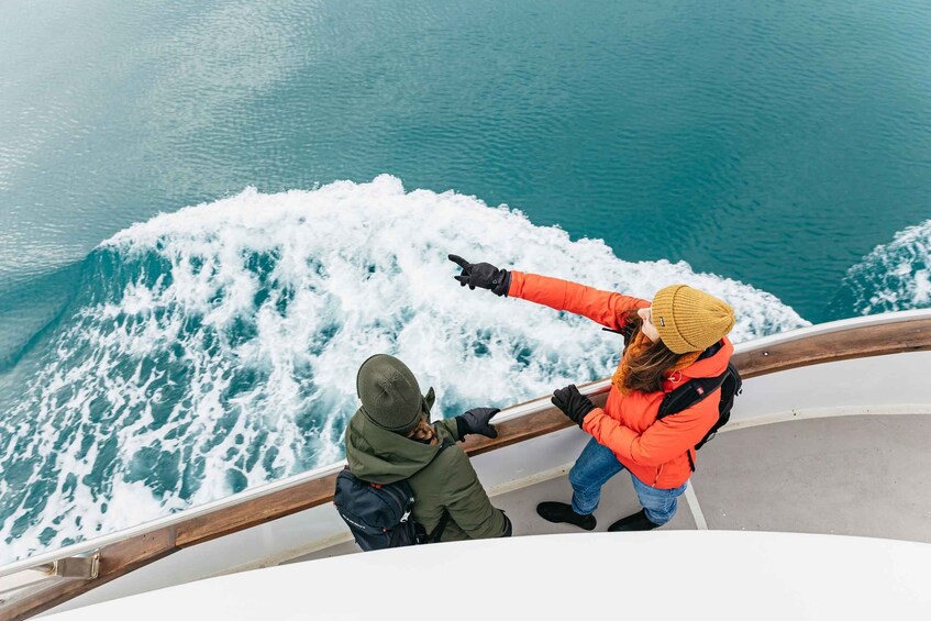 Picture 10 for Activity Reykjavík: Whale Watching Cruise on the Amelia Rose Yacht