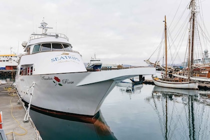 Reykjavík: Crociera per l'osservazione delle balene sullo yacht Amelia Rose