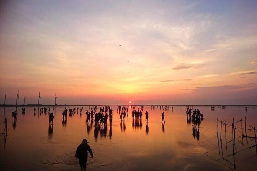 Gaomei Wetlands