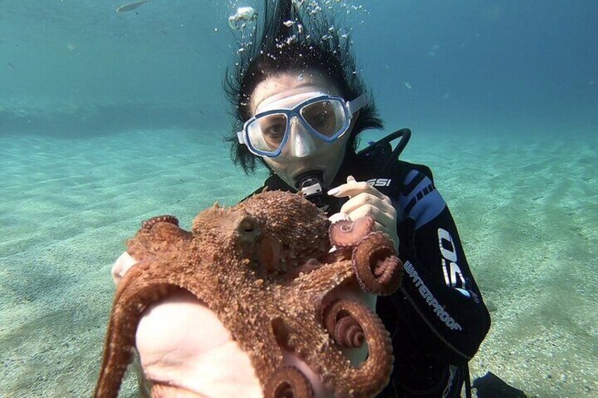 Scuba Diving for Beginners with a PADI Instructor near Heraklion