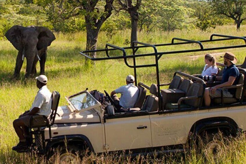 Kruger National Park 3 Day Safari From Johannesburg & Pretoria