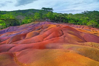 Mauritius: Private Tour durch den Südwesten mit Mittagessen