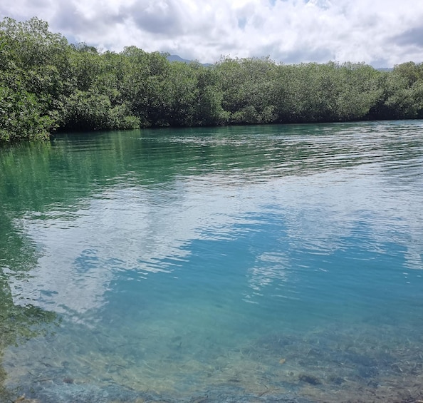 Picture 6 for Activity From Ocho Rios: Chukka ATV Safari Adventure