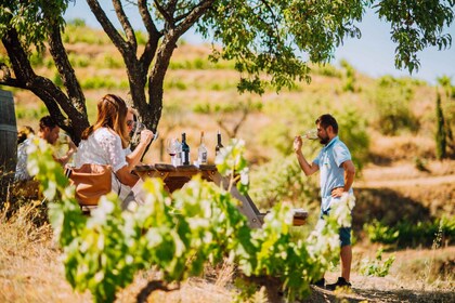 Falset: Vintur til Priorat med lokal guide