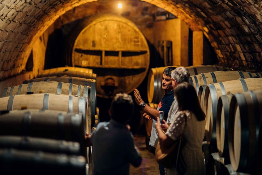 Picture 1 for Activity Falset: Guided Wine Tour to the Priorat by a Local