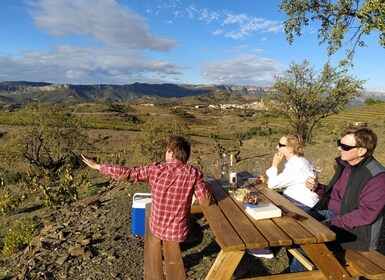 Falset: Guided Wine Tour to the Priorat by a Local