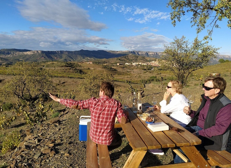 Picture 3 for Activity Falset: Guided Wine Tour to the Priorat by a Local