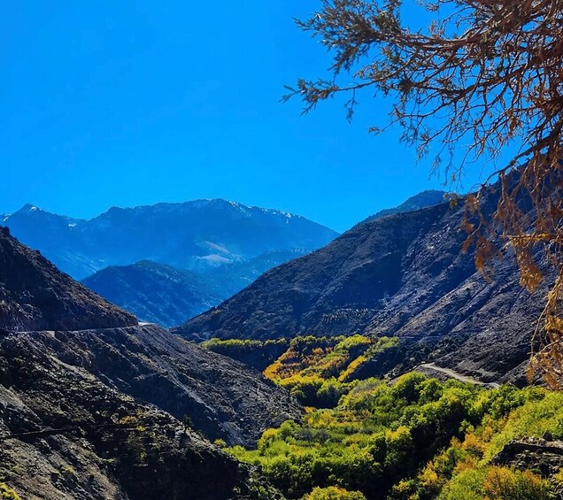 Picture 2 for Activity From Marrakech: Atlas Mountains Day Trip with Camel Ride