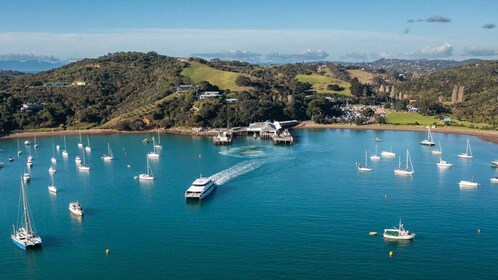 Vanaf Auckland: Waiheke Island Retour Snel Ferry Ticket