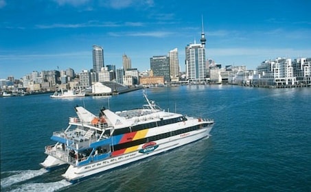 Auckland: Waiheke Island Fast Ferry Pass